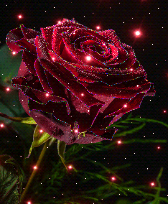 Роза с блестками
