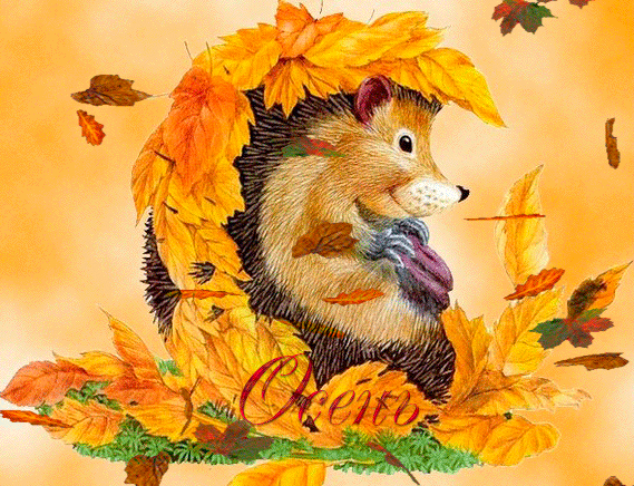 Осенний ежик
