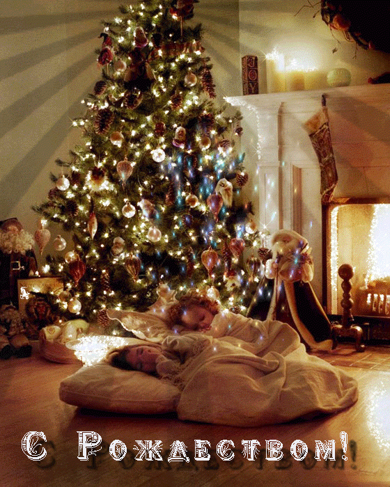 Под рождественской елкой