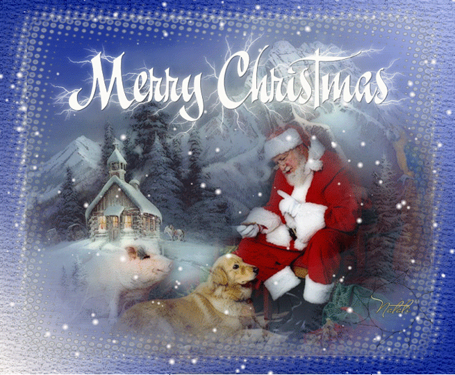 Рождество с животными - Merry Christmas