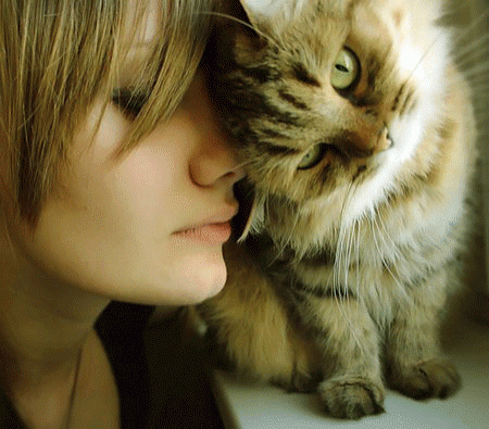 Фото девушка с котом