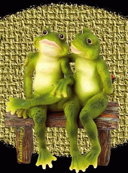Влюбленные жабы