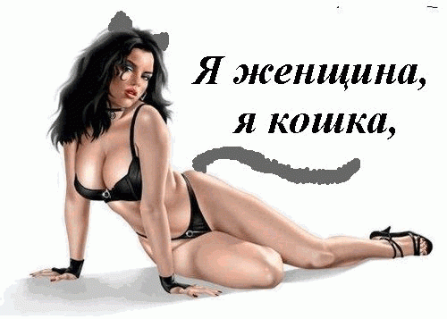 Фото открытка женщина кошка