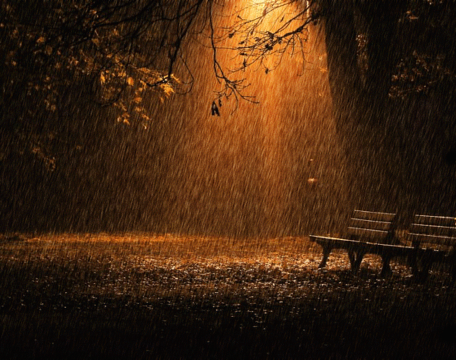 Ночной дождь при свете фонаря