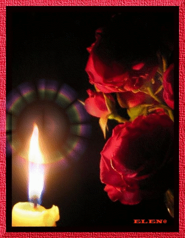 Розы при свечи