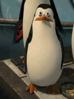 Прикол с пингвином