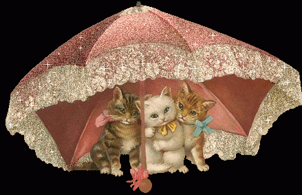 Кошки под зонтом