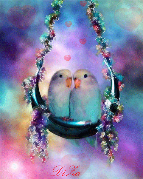 Любящие попугаи