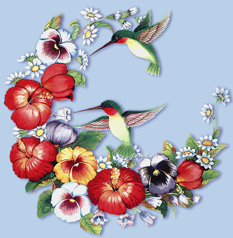 Анимация птицы и цветы