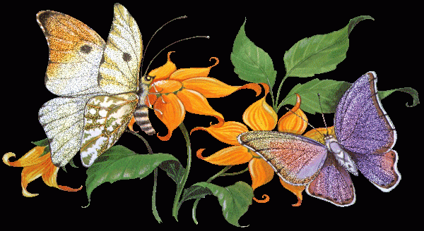Анимация бабочки на цветах