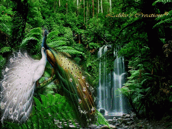 Природа на фоне водопада