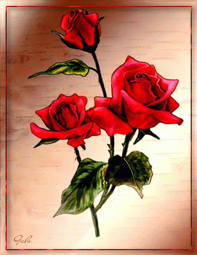 8 марта розы