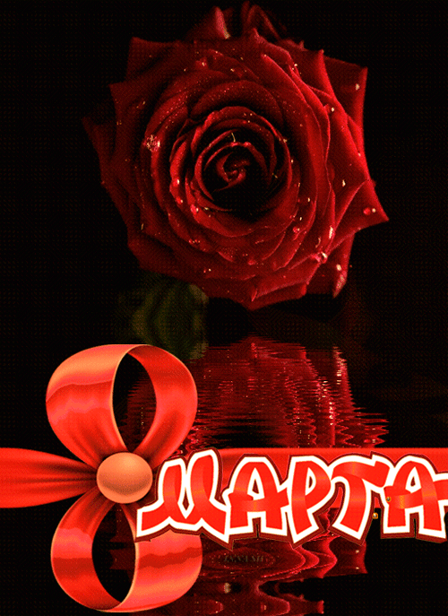 Картинка 8 марта с цветком розой
