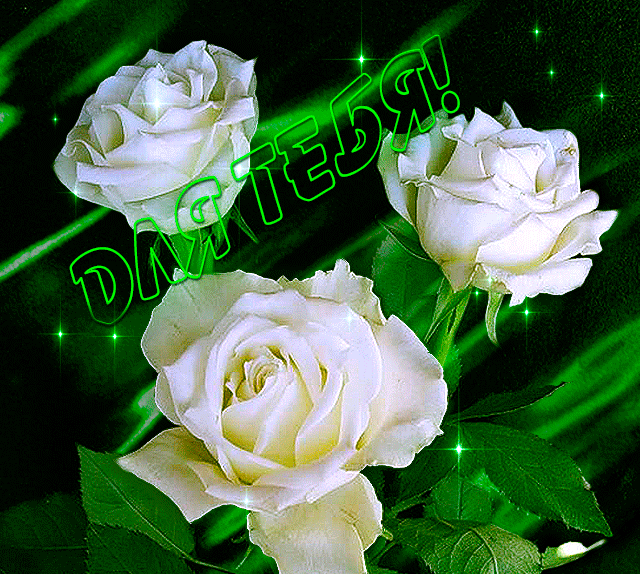Три белые розы