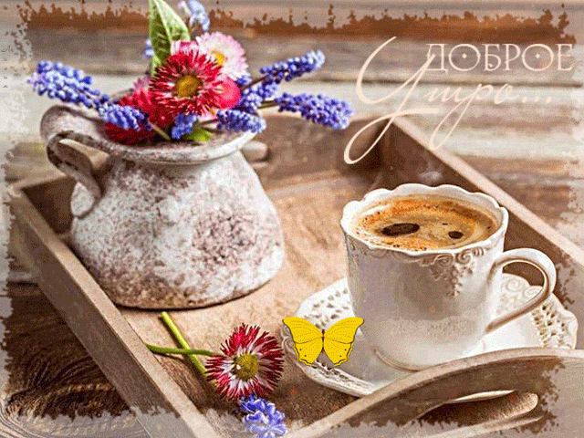 Доброе утро, кофе, цветы, бабочка