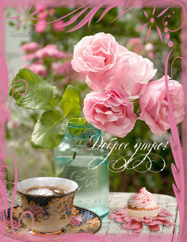 Доброе утро, чайные розы