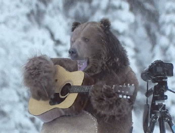 Медведь с гитарой