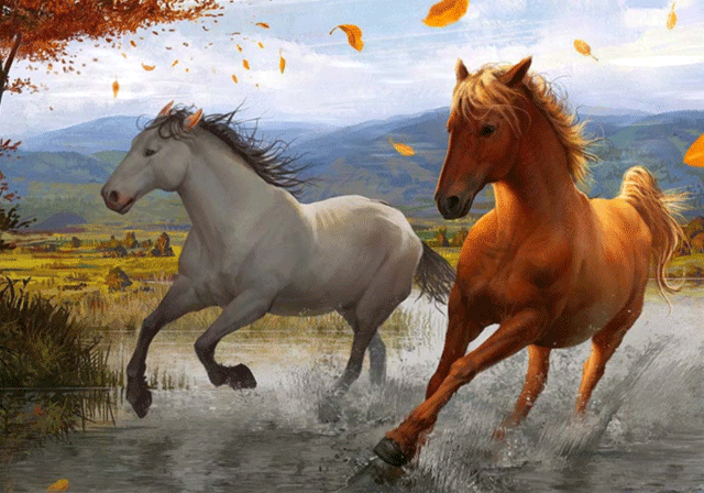 Лошади бегущие по воде