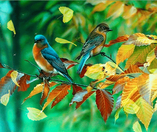 Птицы, осень, листопад