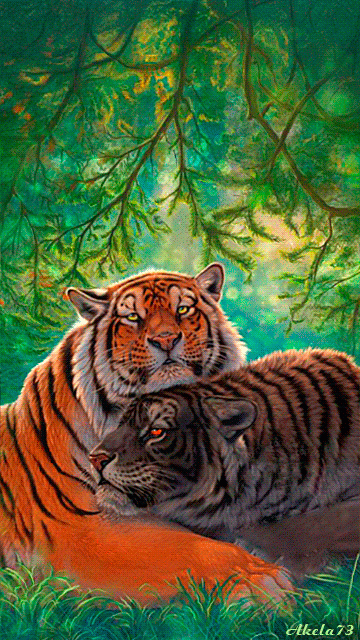 Анимация тигры