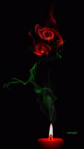 Роза из дыма