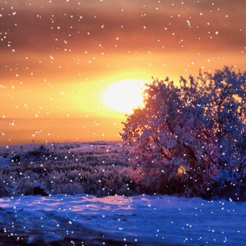 Закат, снег, природа