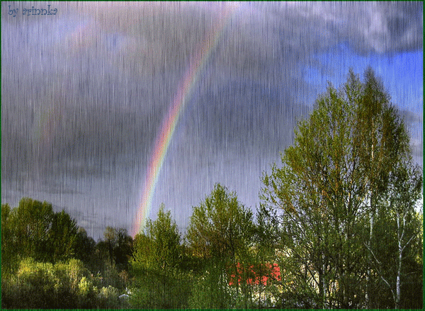 Дождь, радуга, небо, деревья