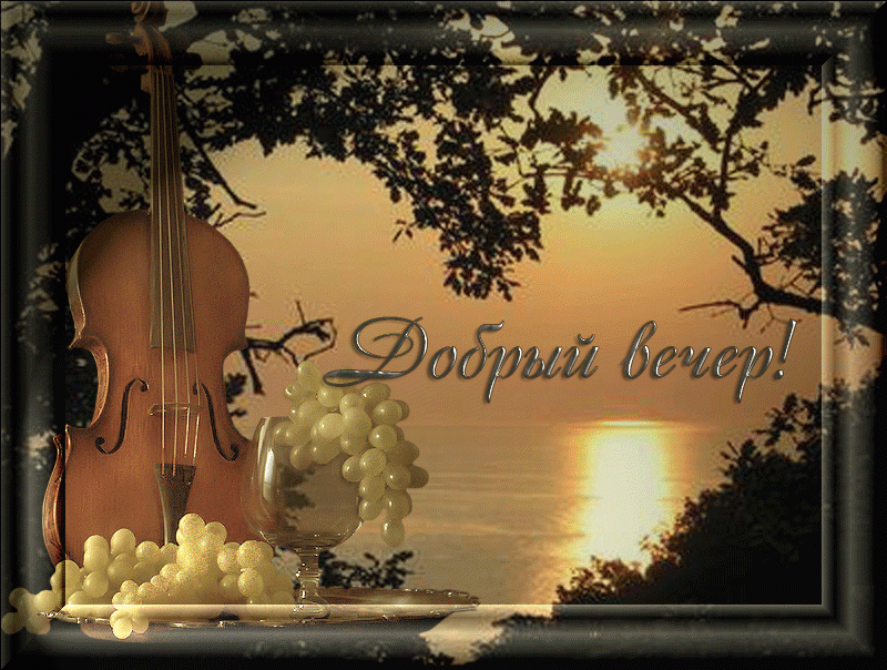 Добрый вечер, скрипка, виноград, закат