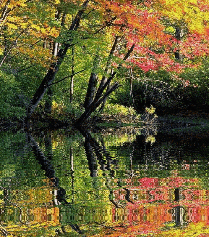 Осенняя природа, отражение в воде