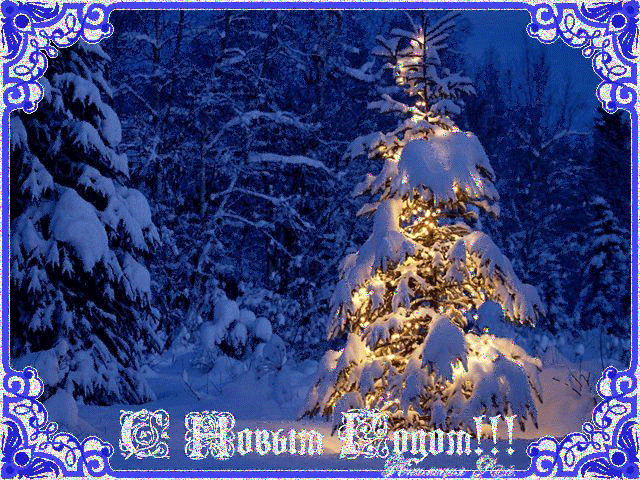 Ночная елка под снегом