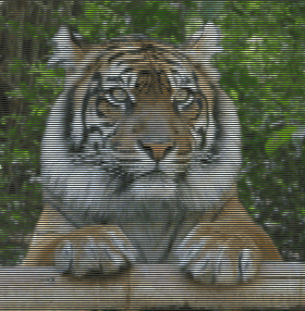 Прикольный тигр