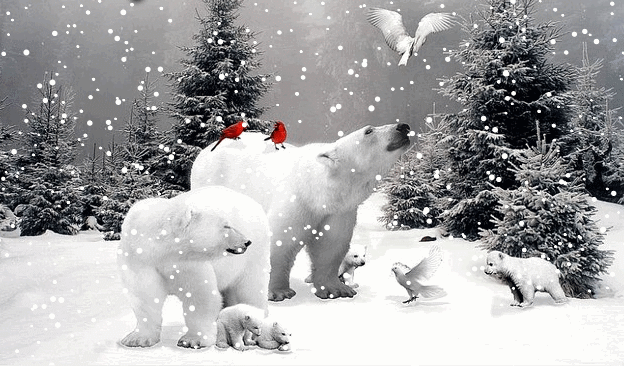 Медведи на снегу
