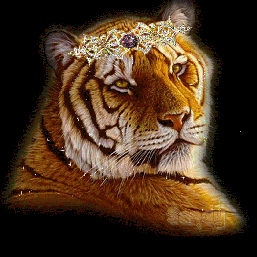Тигр в короне