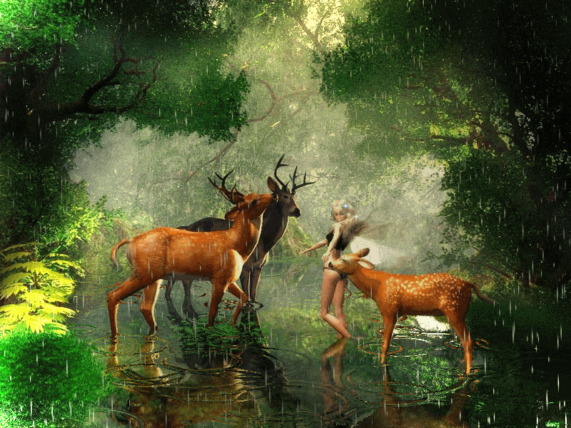 Животные в лесу под дождем
