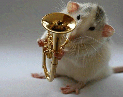 Музыкальная крыса