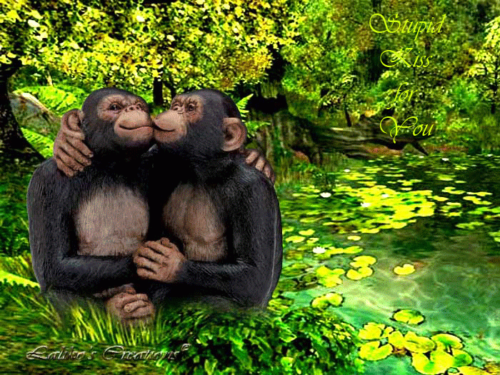 Целующиеся обезьяны