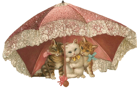 Кошки под зонтом