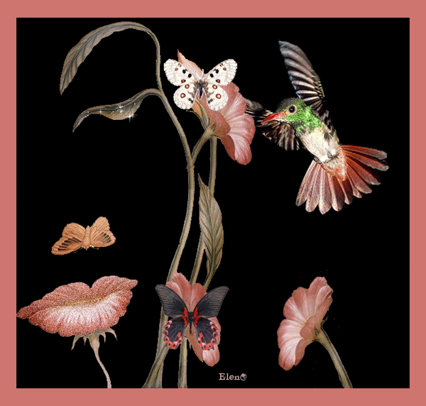 Птица, цветы и бабочки