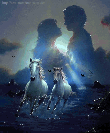 Картинка белых лошадей