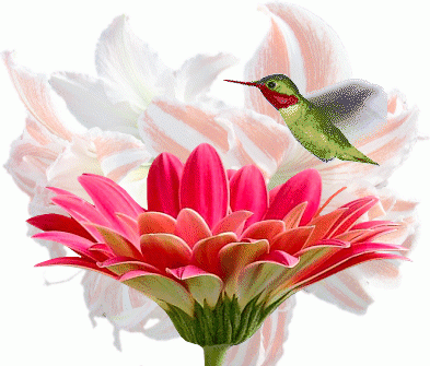 Анимированная птичка над цветком