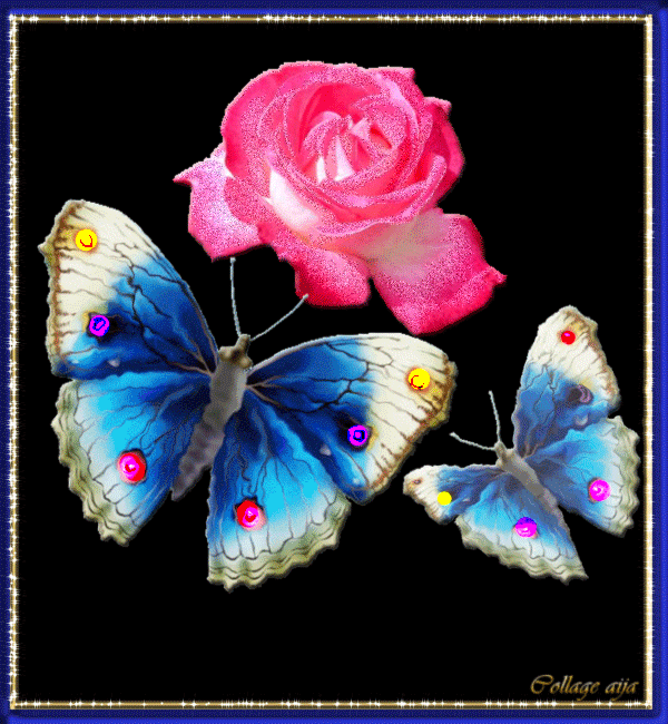Бабочки и цветок