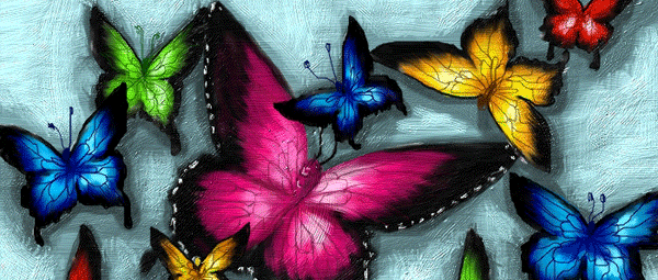 Красивые бабочки GIF