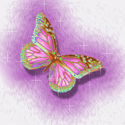 Фото GIF с прикольными бабочками