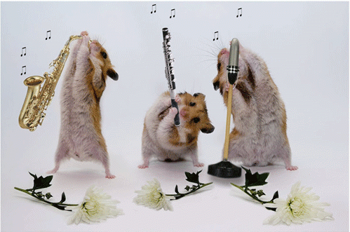 Мыши музыканты
