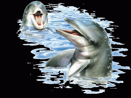 Красивые дельфины