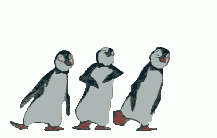танец пингвинов