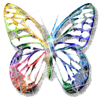 Красивая разноцветная бабочка