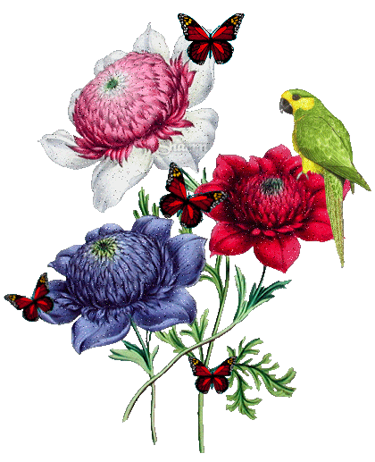 Анимация попугай, бабочки и цветы