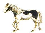 Анимация лошади