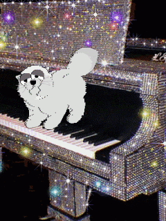 Кот играет на пианино